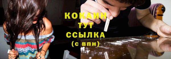 первитин Богородицк