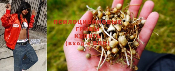 хмурый Бронницы