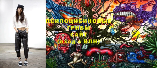 марки nbome Богданович