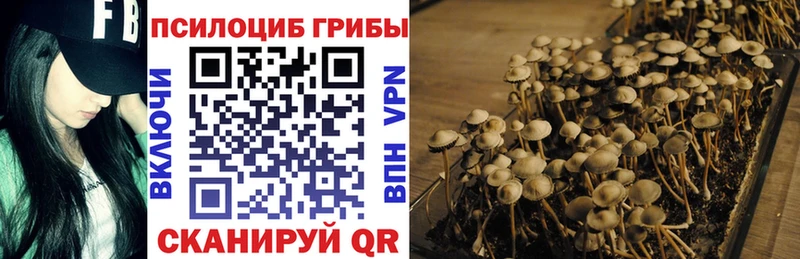 где найти Верхняя Тура Галлюциногенные грибы ЛСД